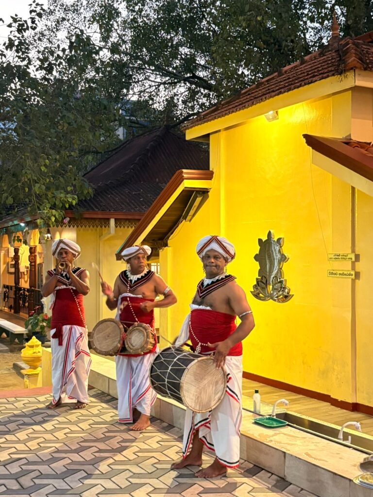 ada2f40d-814b-48f5-94c5-01a12b262216